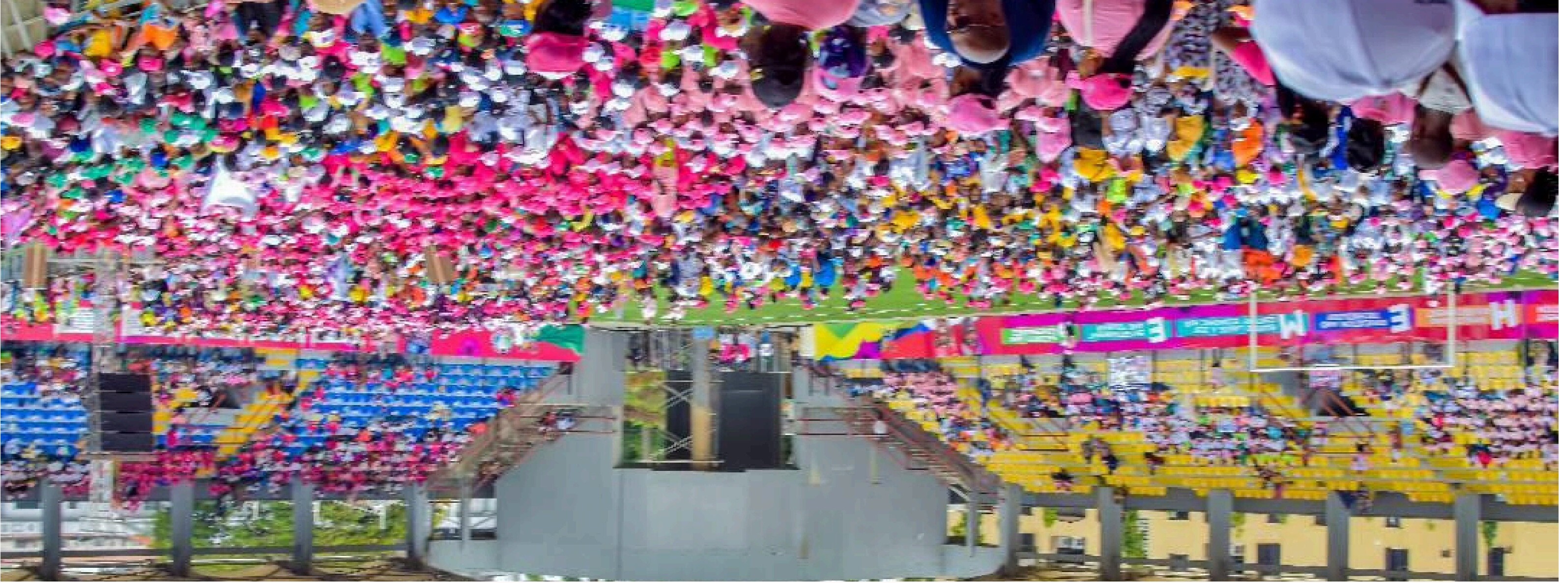 Stadium rally crowd